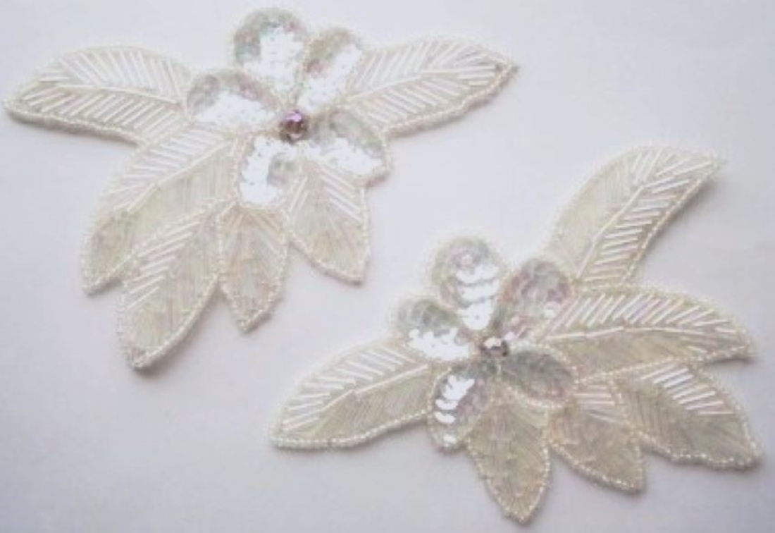 Sequin/Bead Applique
