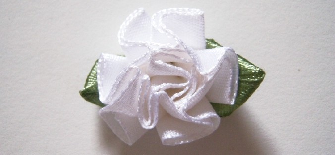 White/Fern Carnation