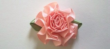 Peach/Fern Carnation